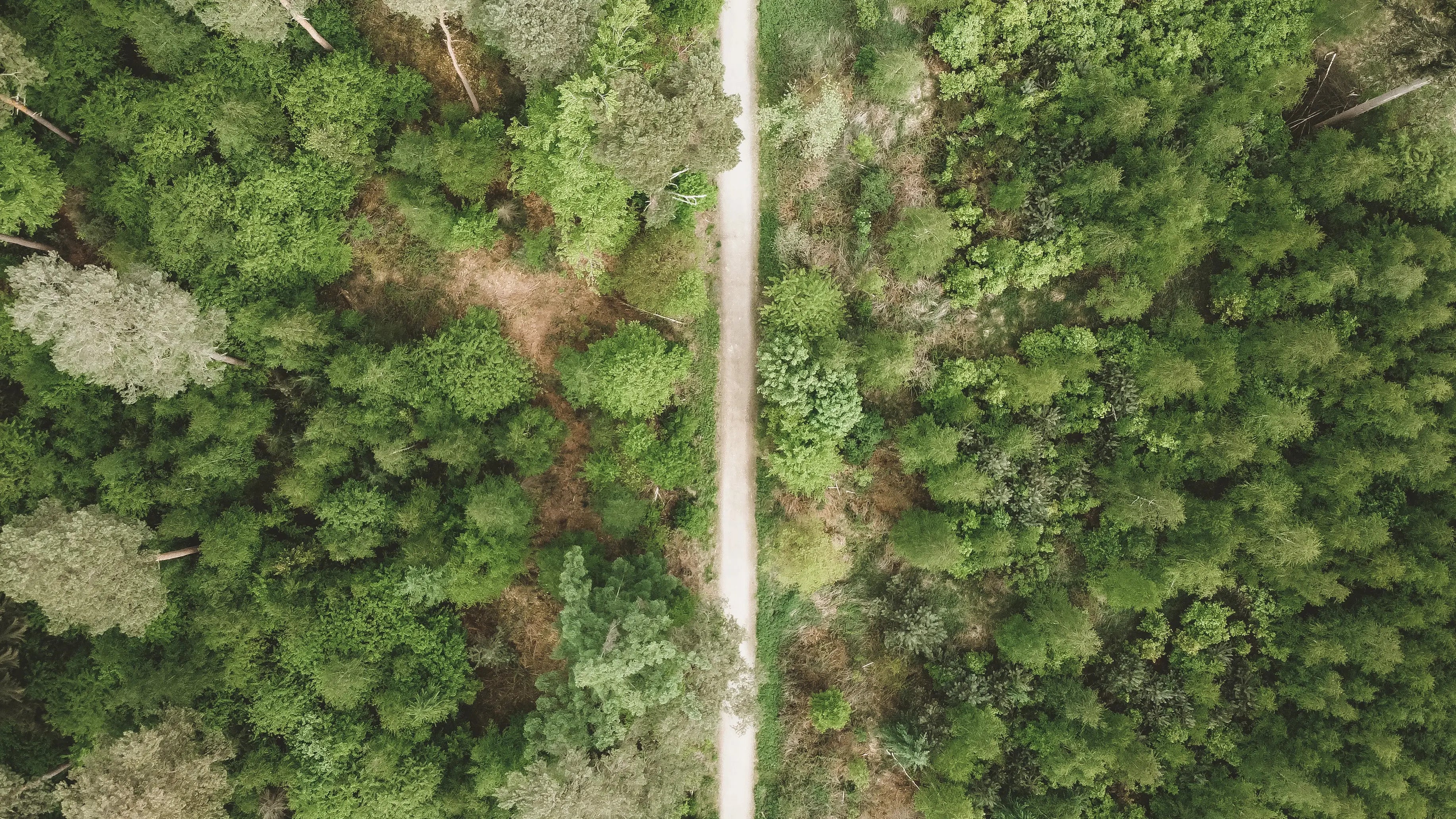Luftaufnahme Kölner Wald