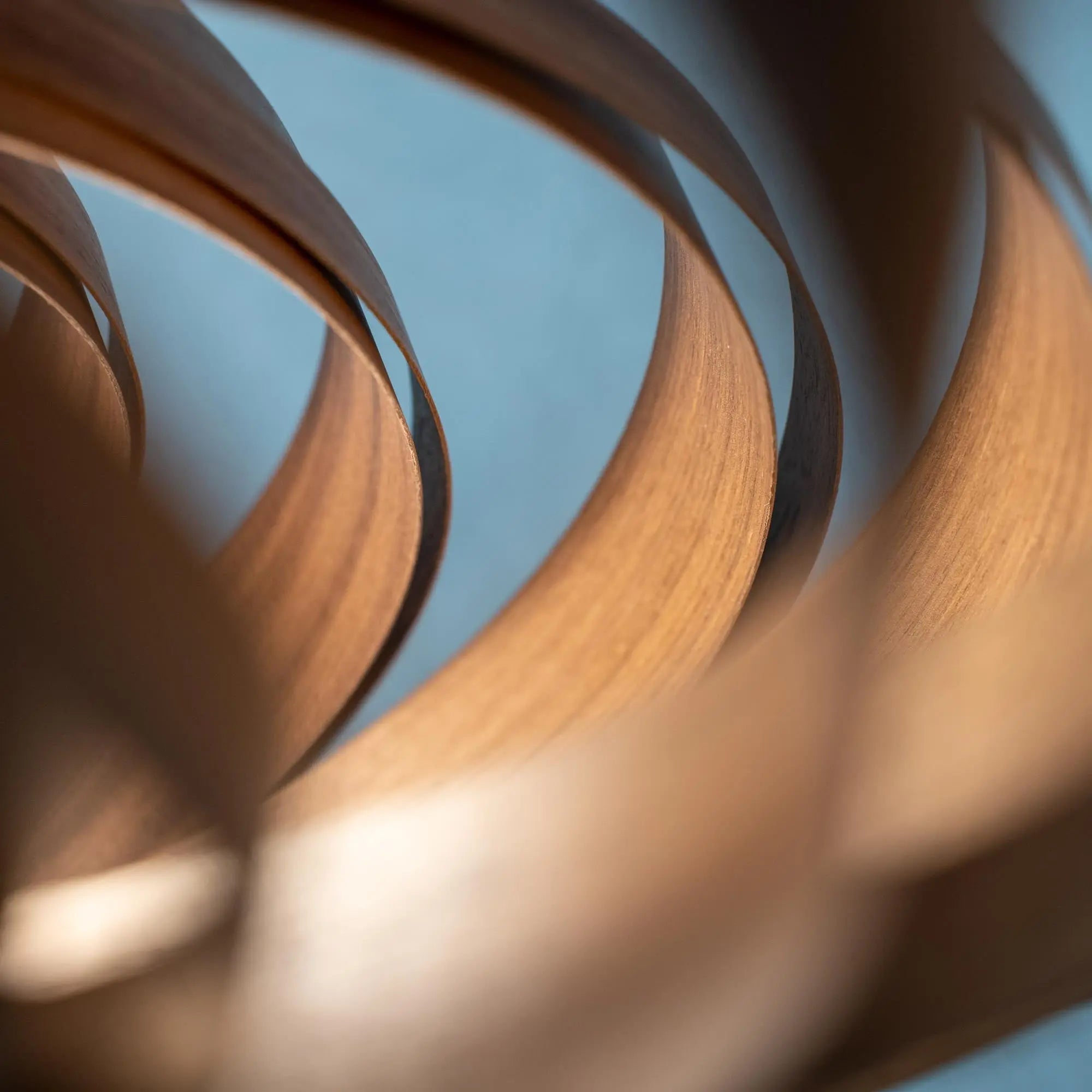 Hängeleuchte Veneria aus Nussbaum - 'pure collection' Gofurnit