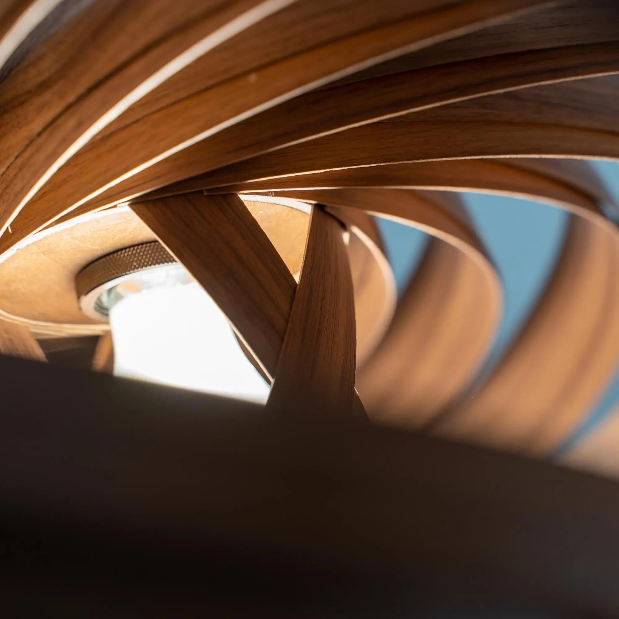 Hängeleuchte Veneria aus Nussbaum - 'pure collection' Gofurnit