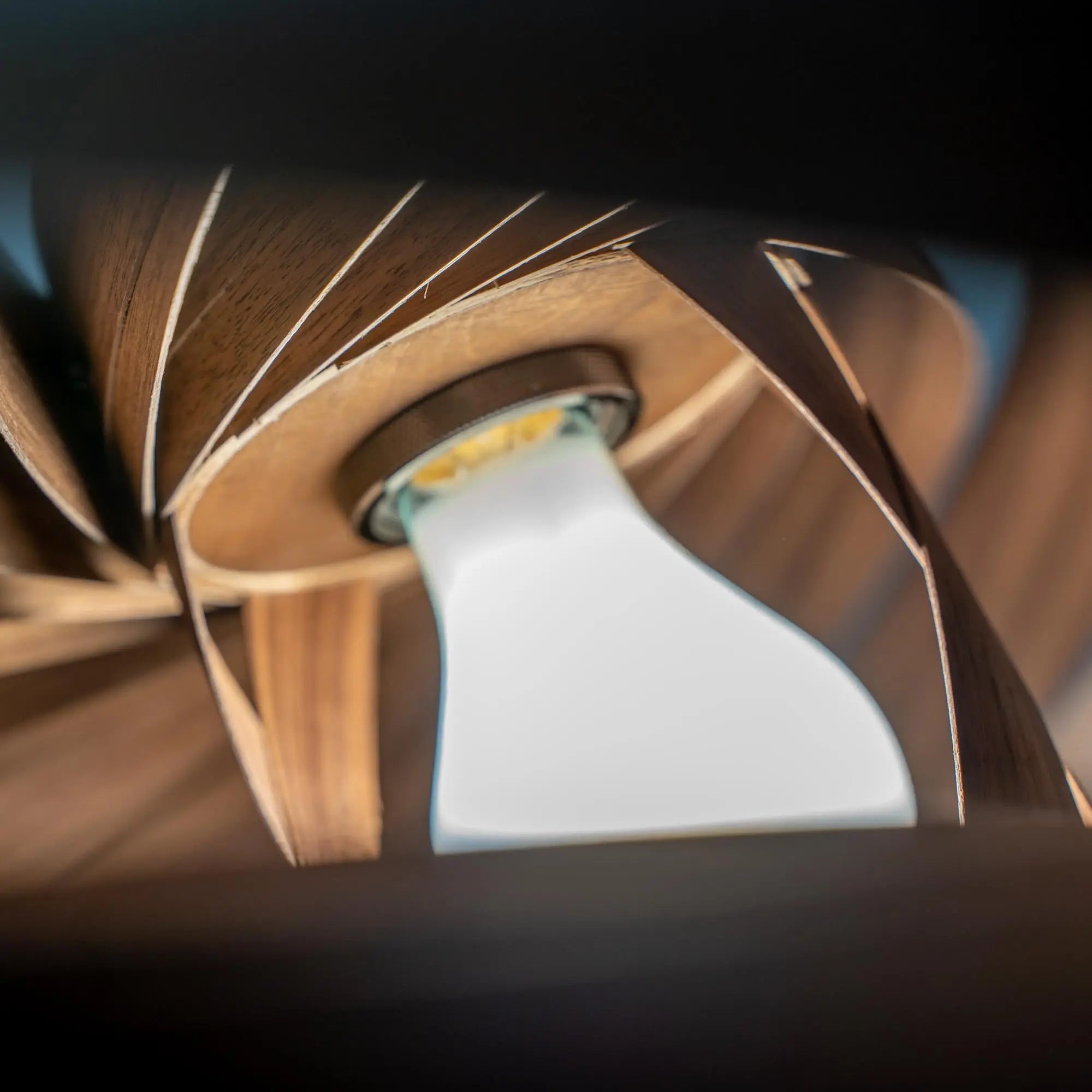 Hängeleuchte Veneria aus Nussbaum - 'pure collection' Gofurnit