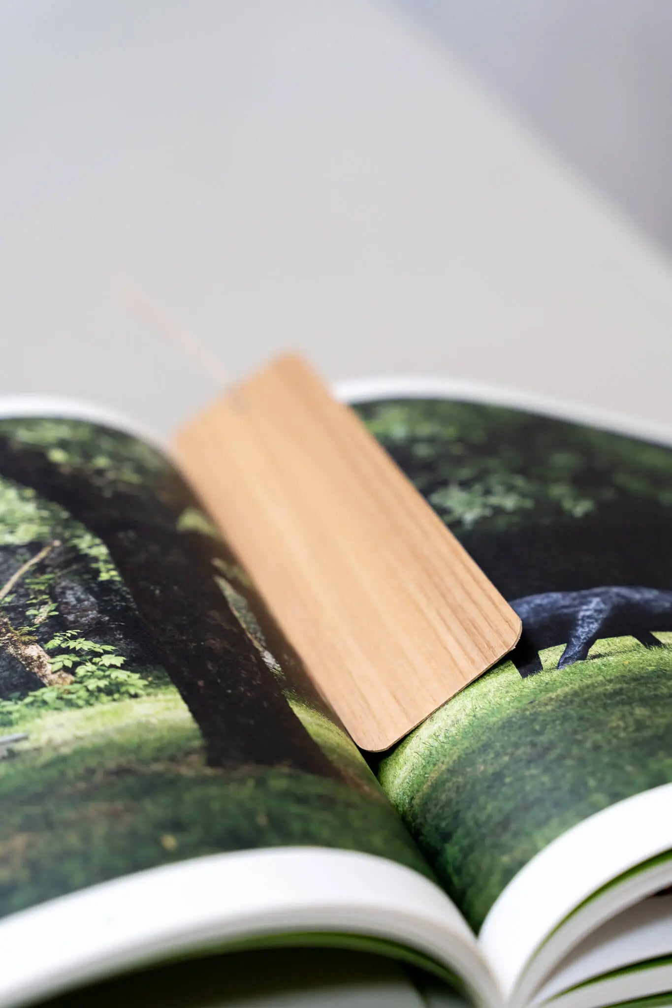 Kostenloses Holzmuster-Set Gofurnit