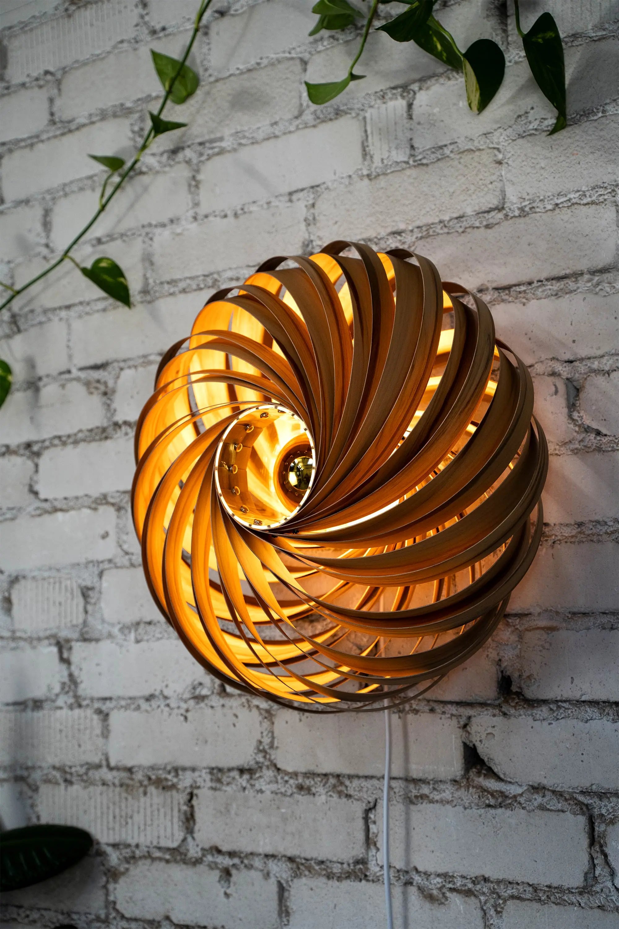 Wandleuchte 'Veneria' aus Amberbaum 50 cm Gofurnit