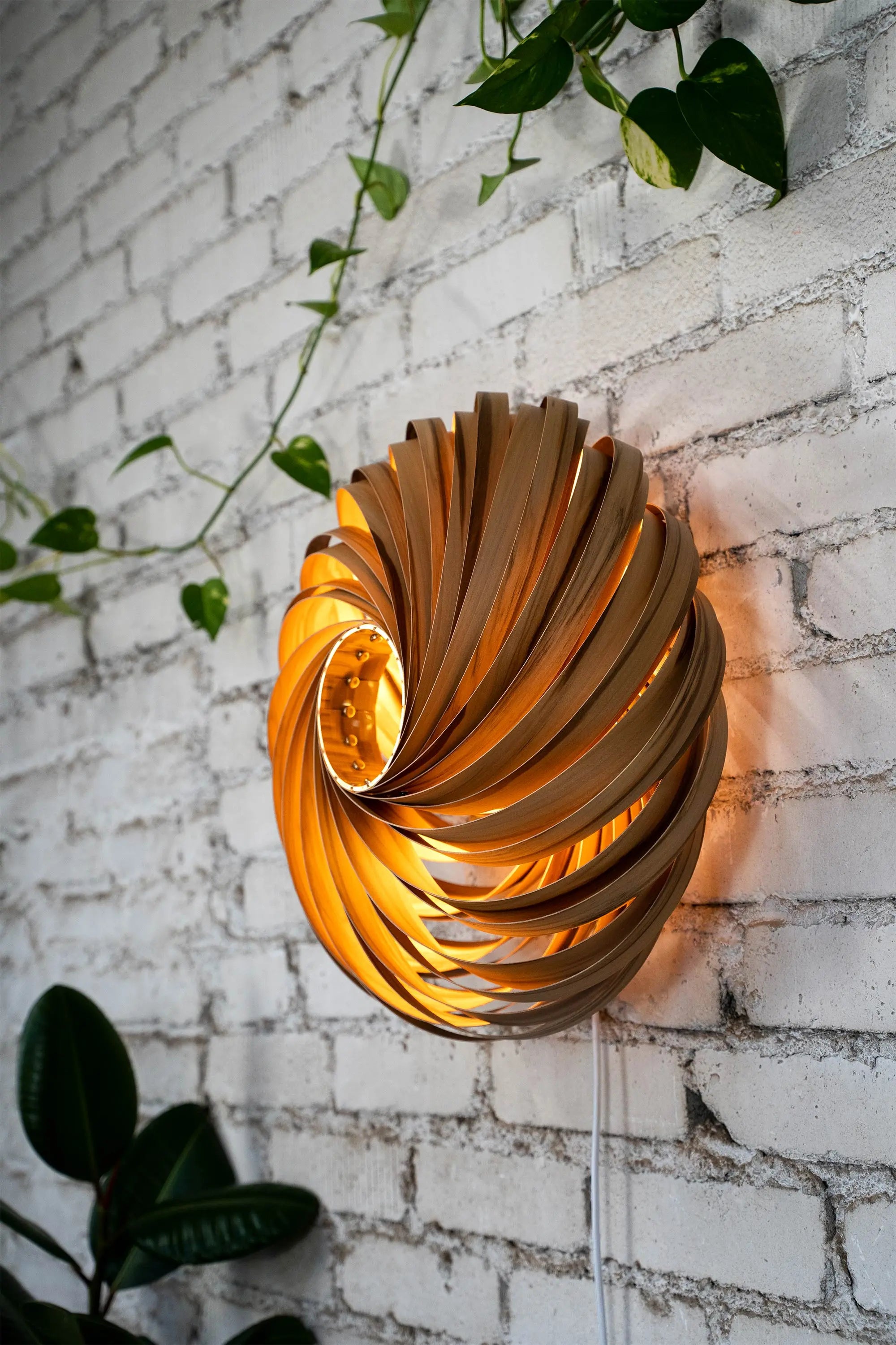 Wandleuchte 'Veneria' aus Amberbaum 50 cm Gofurnit