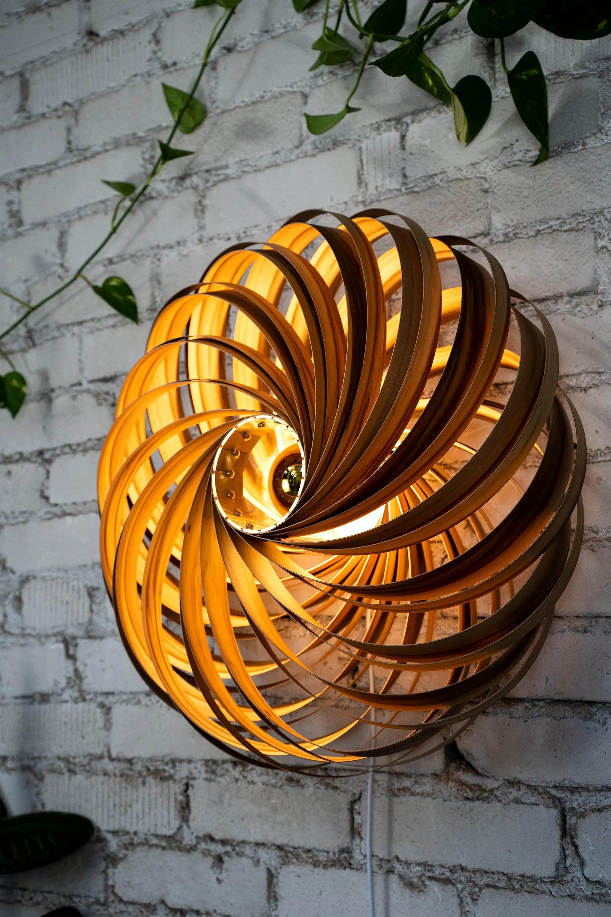 Wandleuchte 'Veneria' aus Amberbaum 60 cm Gofurnit