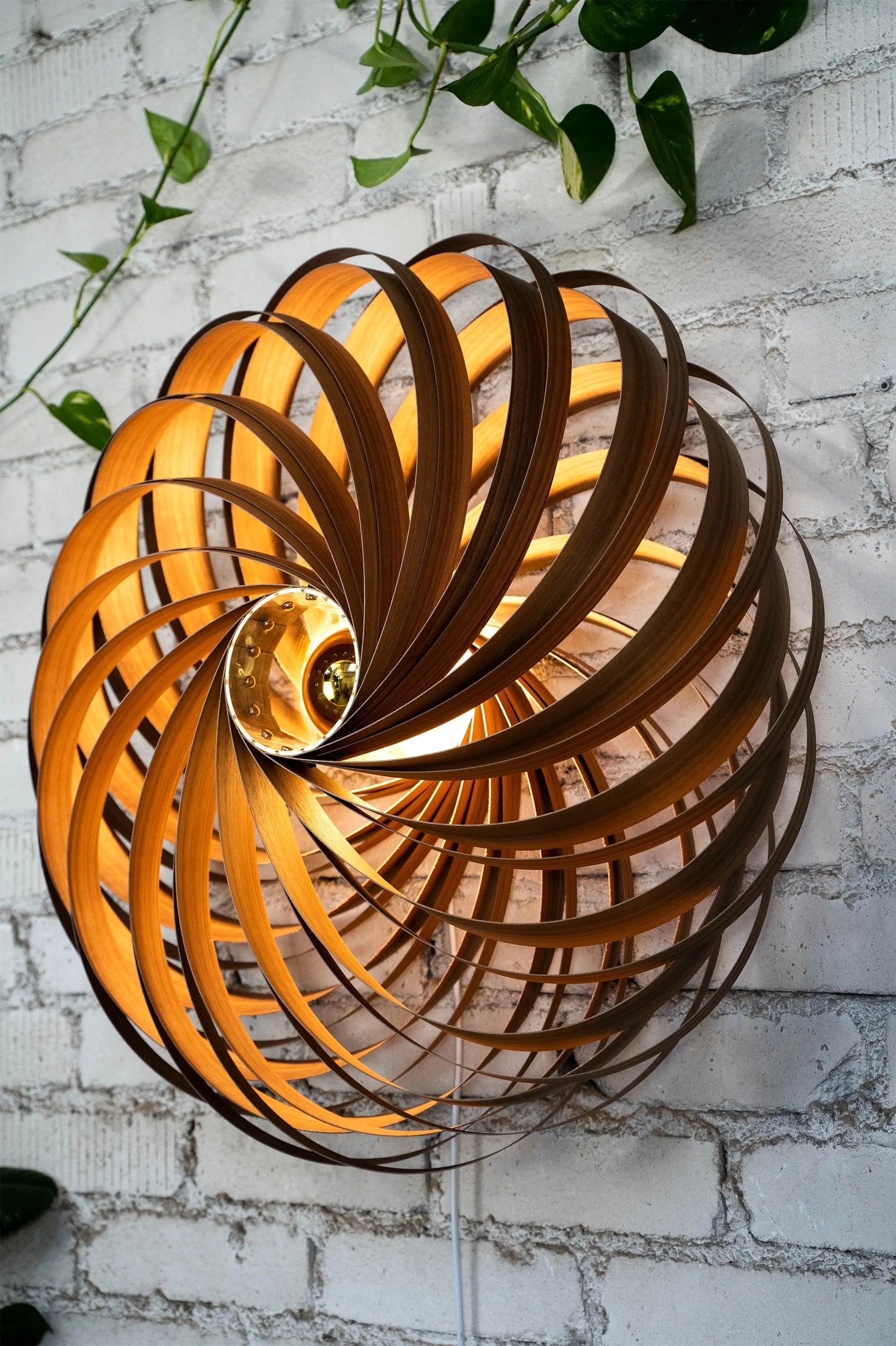 Wandleuchte 'Veneria' aus Nussbaum 70 cm Gofurnit