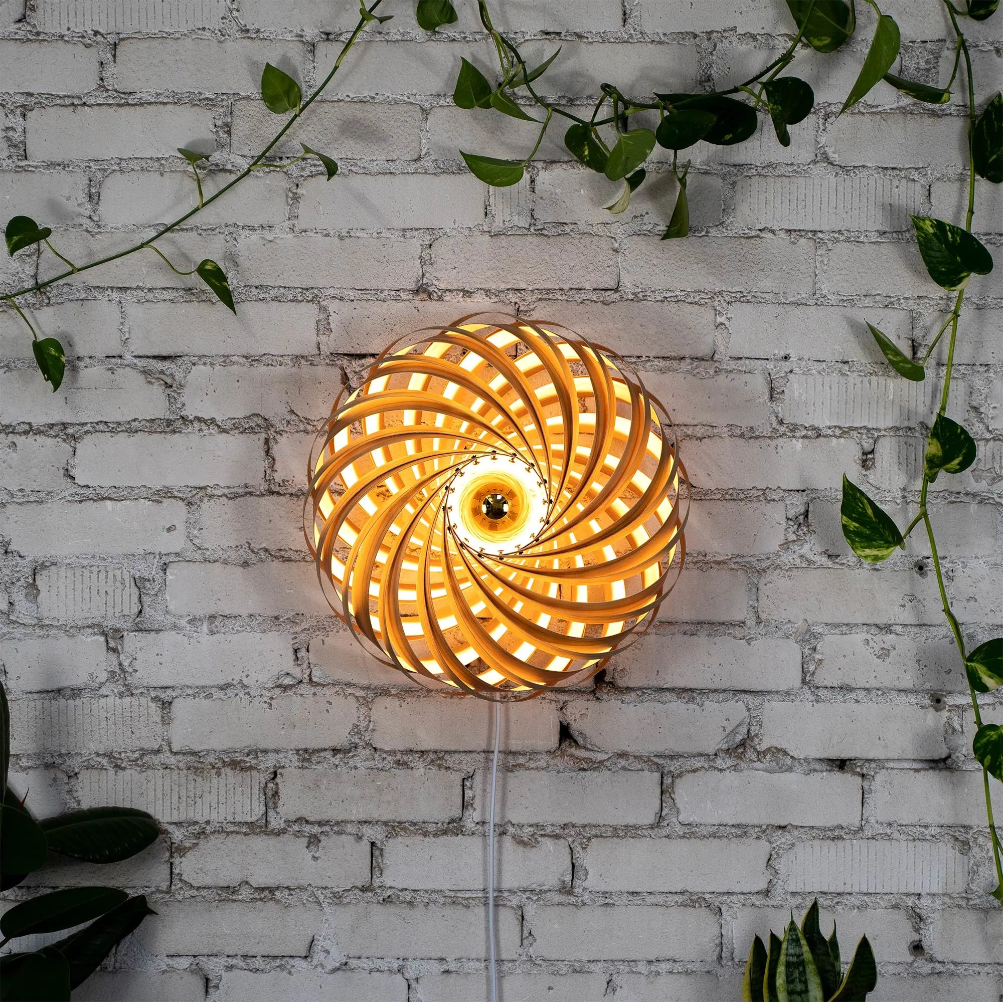 Wandleuchte 'Veneria' aus Olivesche 50 cm Gofurnit