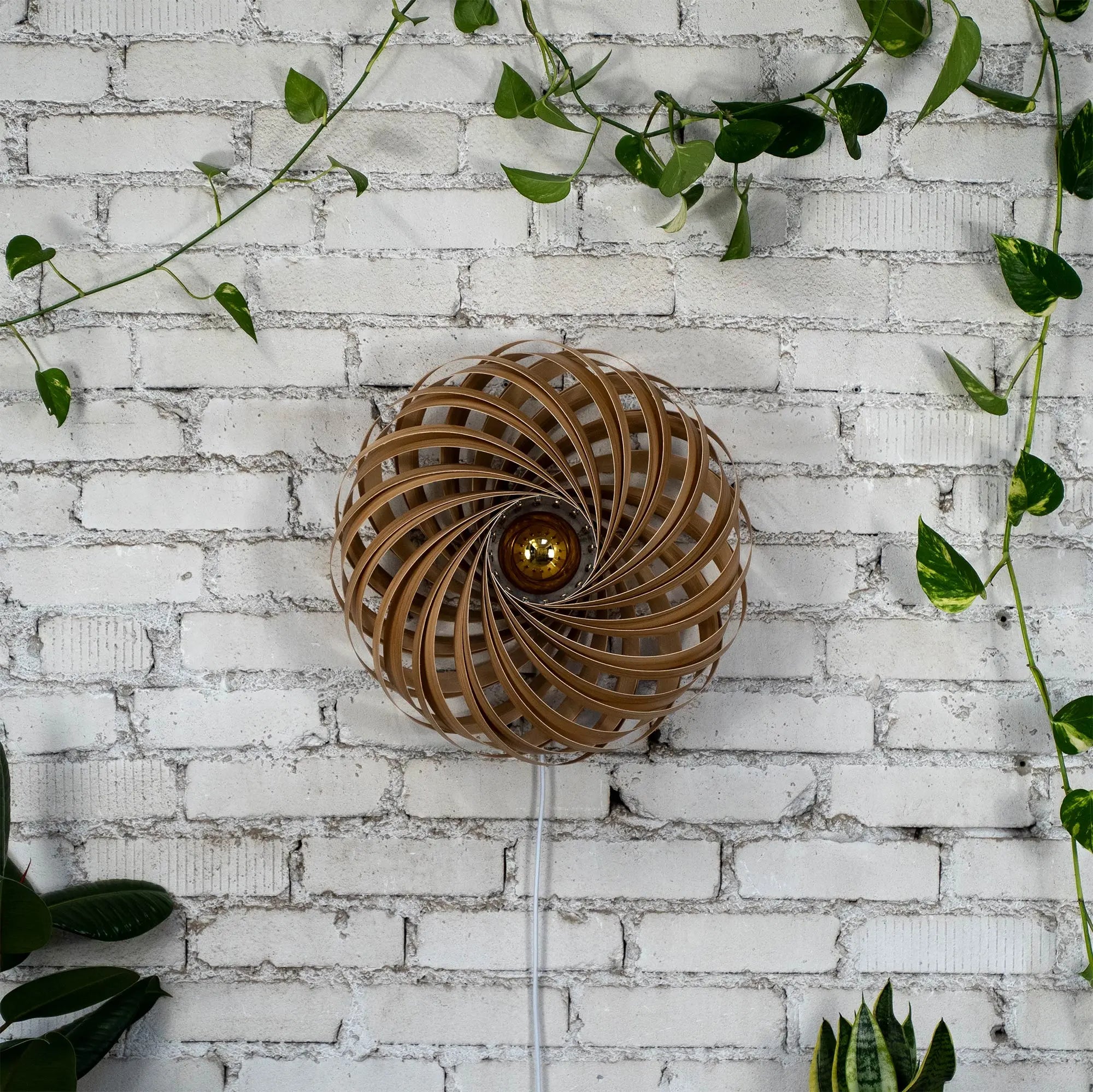 Wandleuchte 'Veneria' aus Olivesche 50 cm Gofurnit