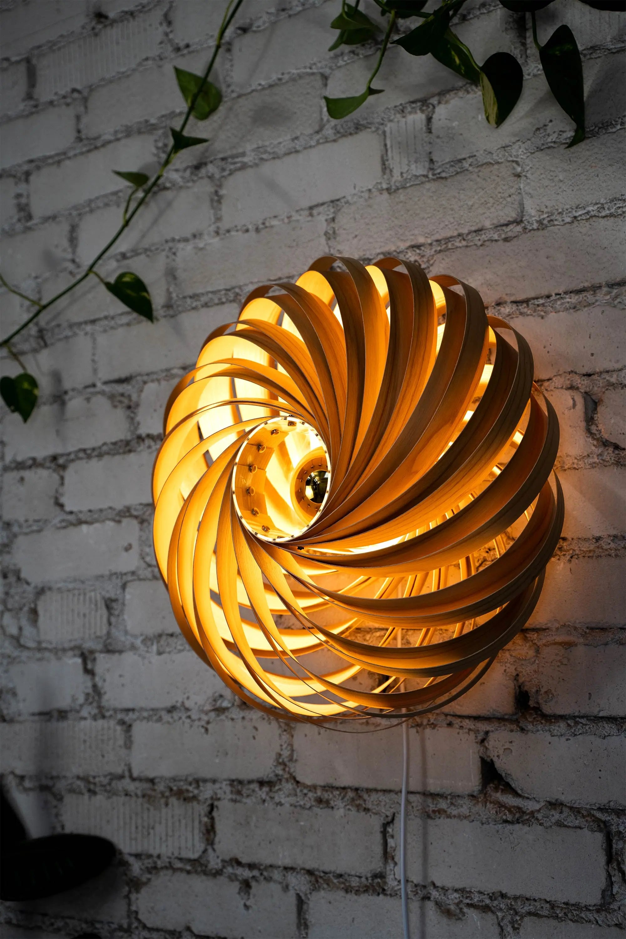 Wandleuchte 'Veneria' aus Olivesche 50 cm Gofurnit