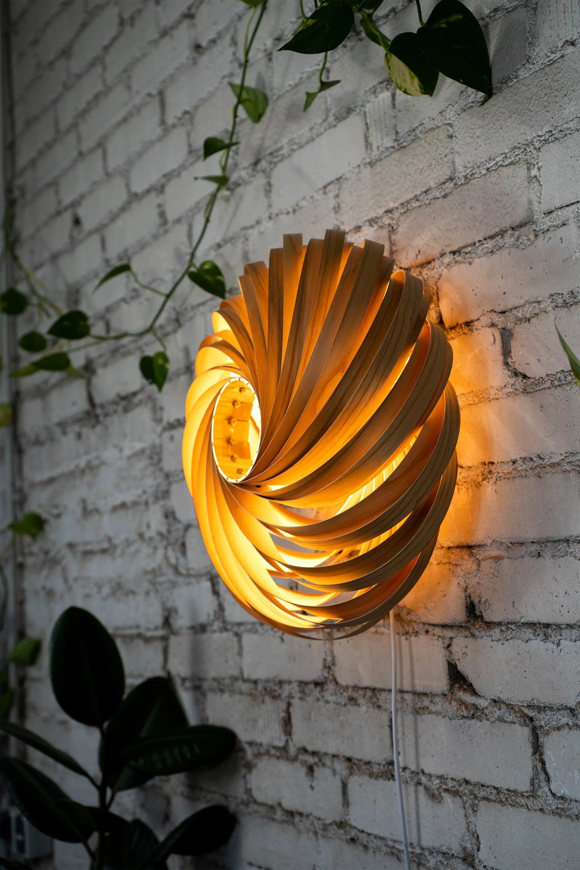 Wandleuchte 'Veneria' aus Olivesche 50 cm Gofurnit