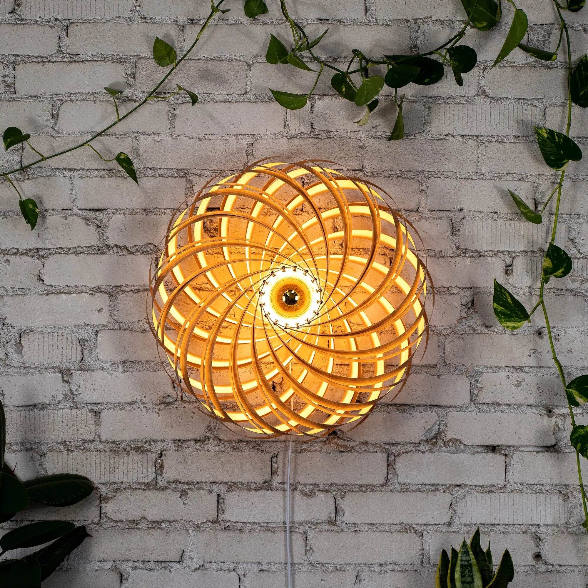 Wandleuchte 'Veneria' aus Olivesche 60 cm Gofurnit