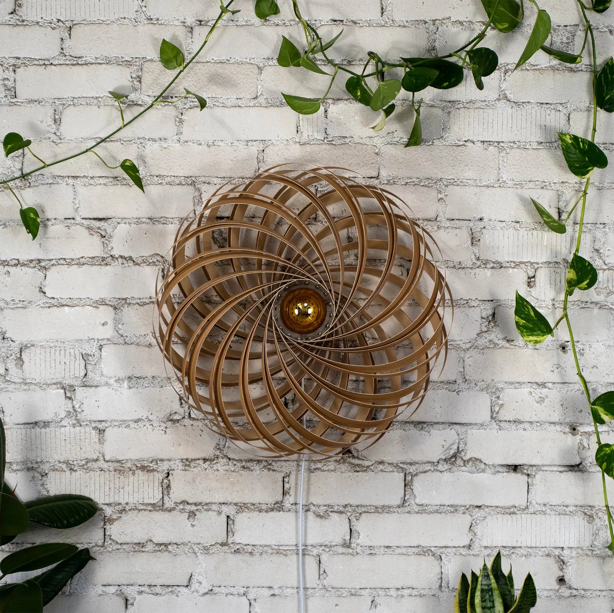 Wandleuchte 'Veneria' aus Olivesche 60 cm Gofurnit