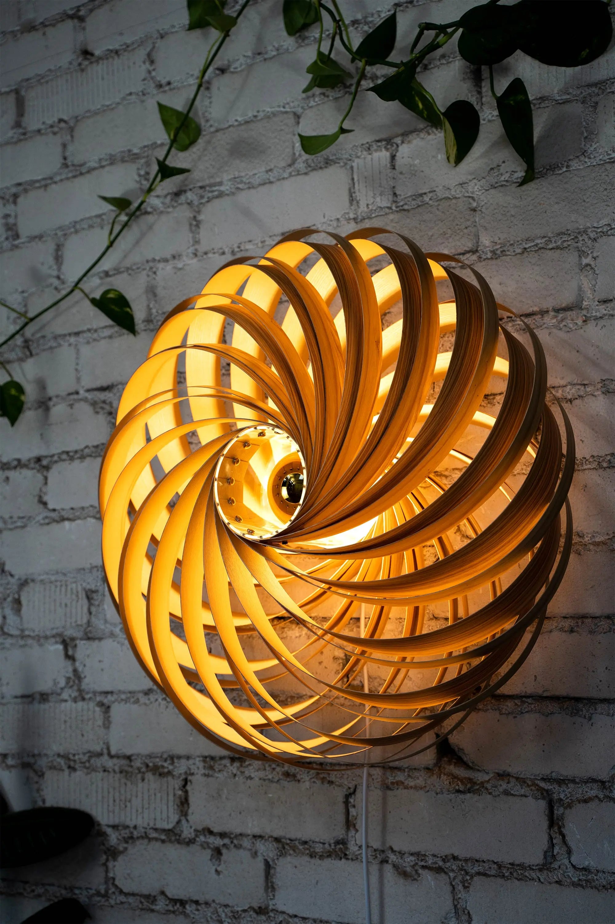 Wandleuchte 'Veneria' aus Olivesche 60 cm Gofurnit