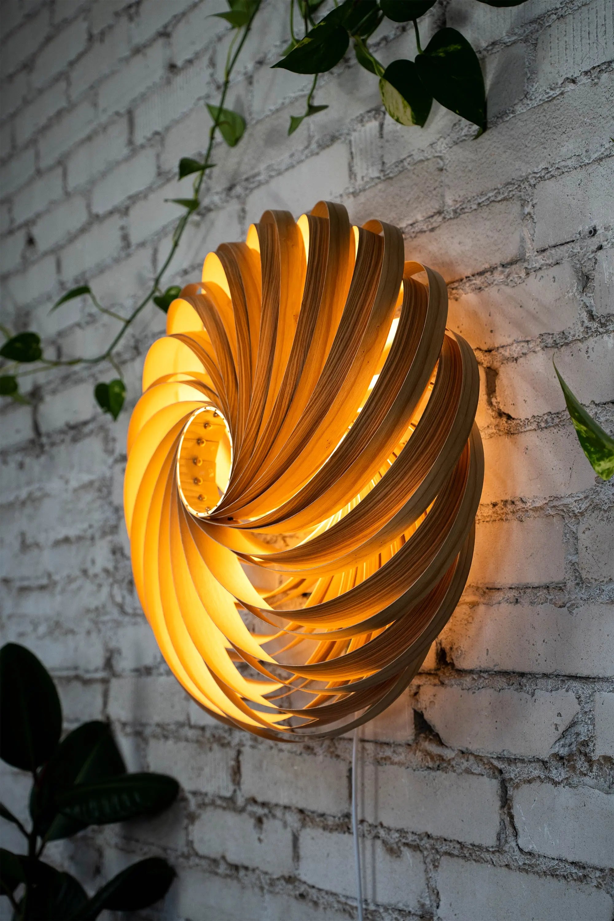 Wandleuchte 'Veneria' aus Olivesche 60 cm Gofurnit