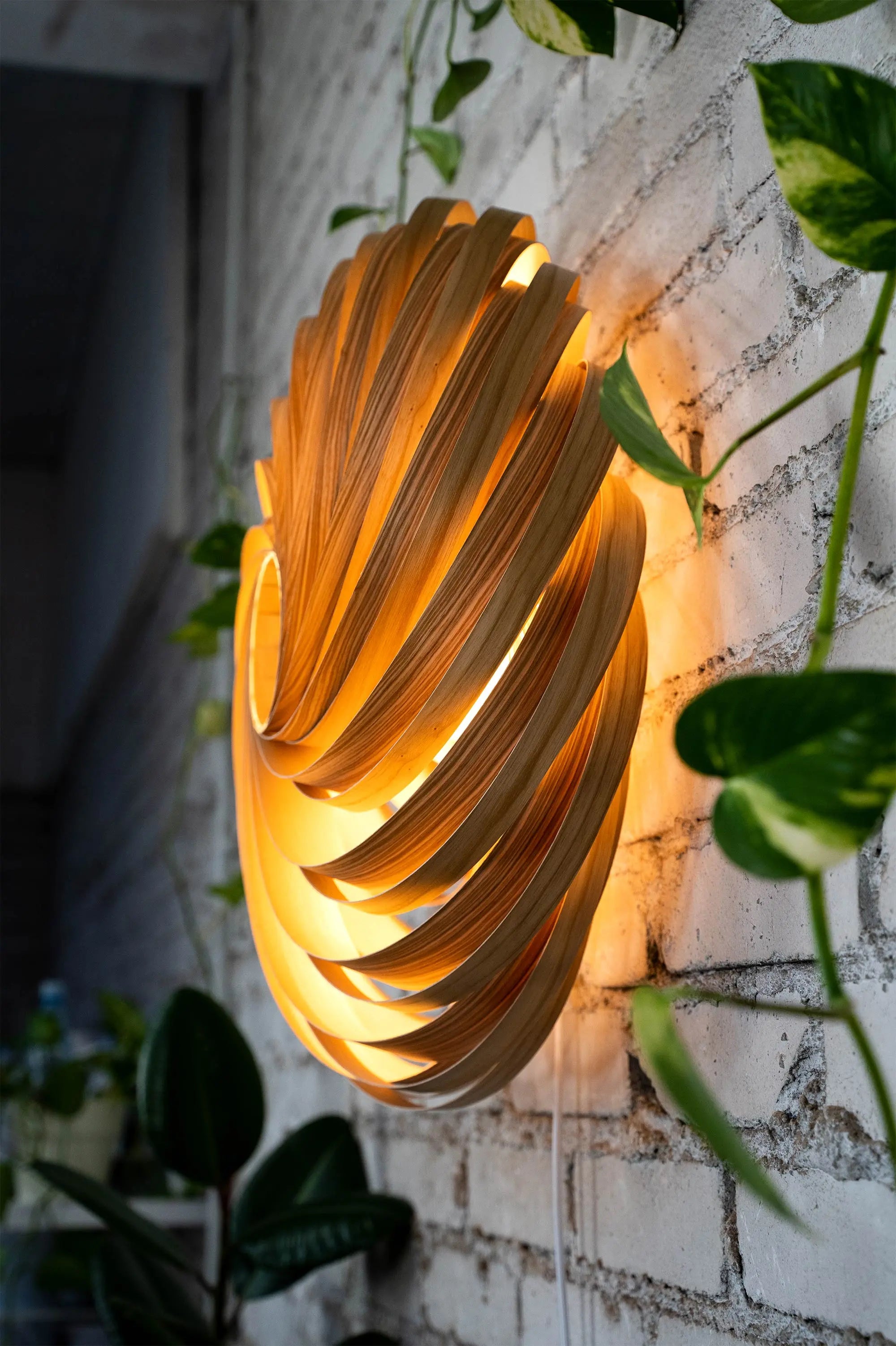 Wandleuchte 'Veneria' aus Olivesche 60 cm Gofurnit