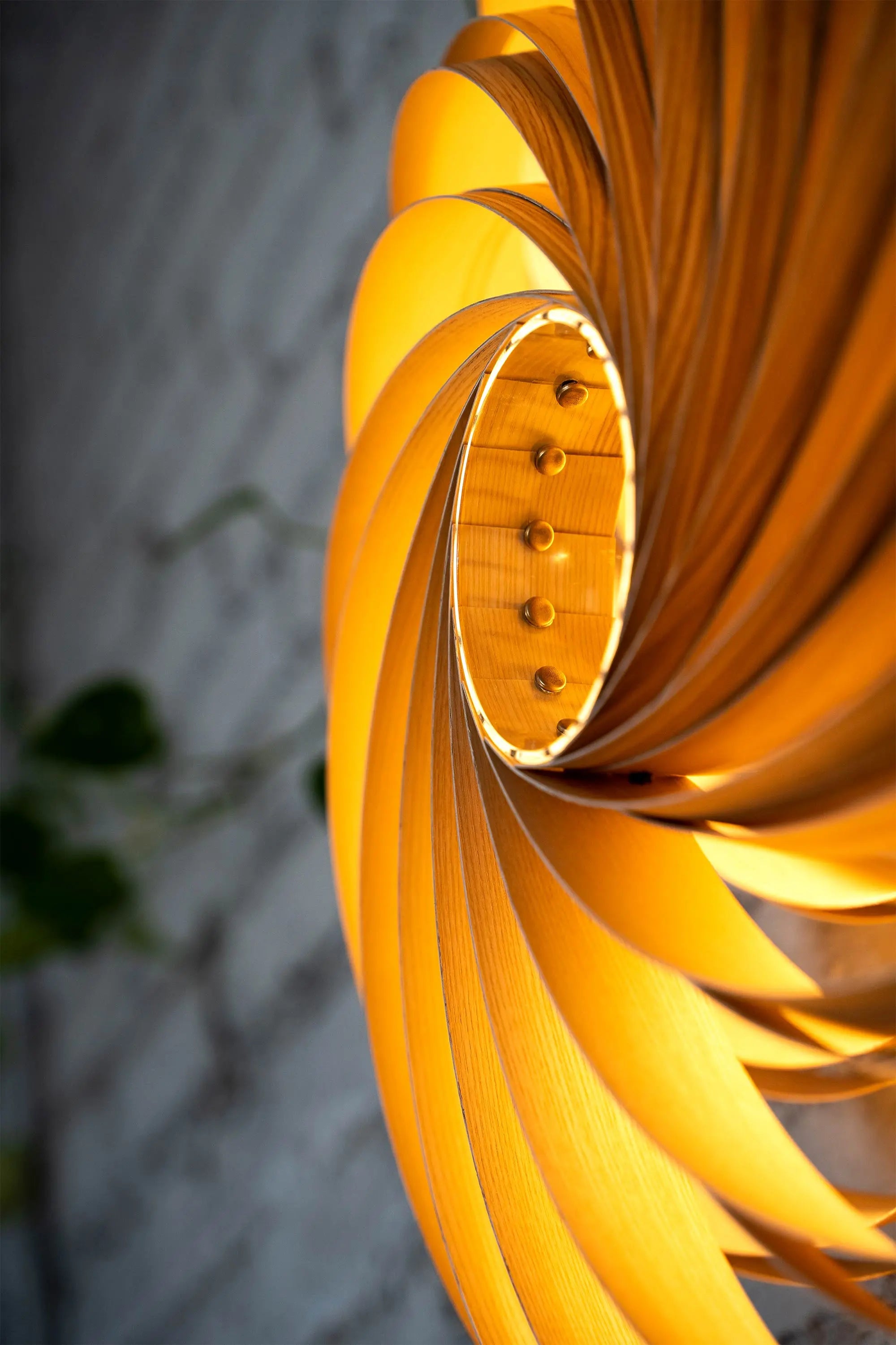 Wandleuchte 'Veneria' aus Olivesche 60 cm Gofurnit