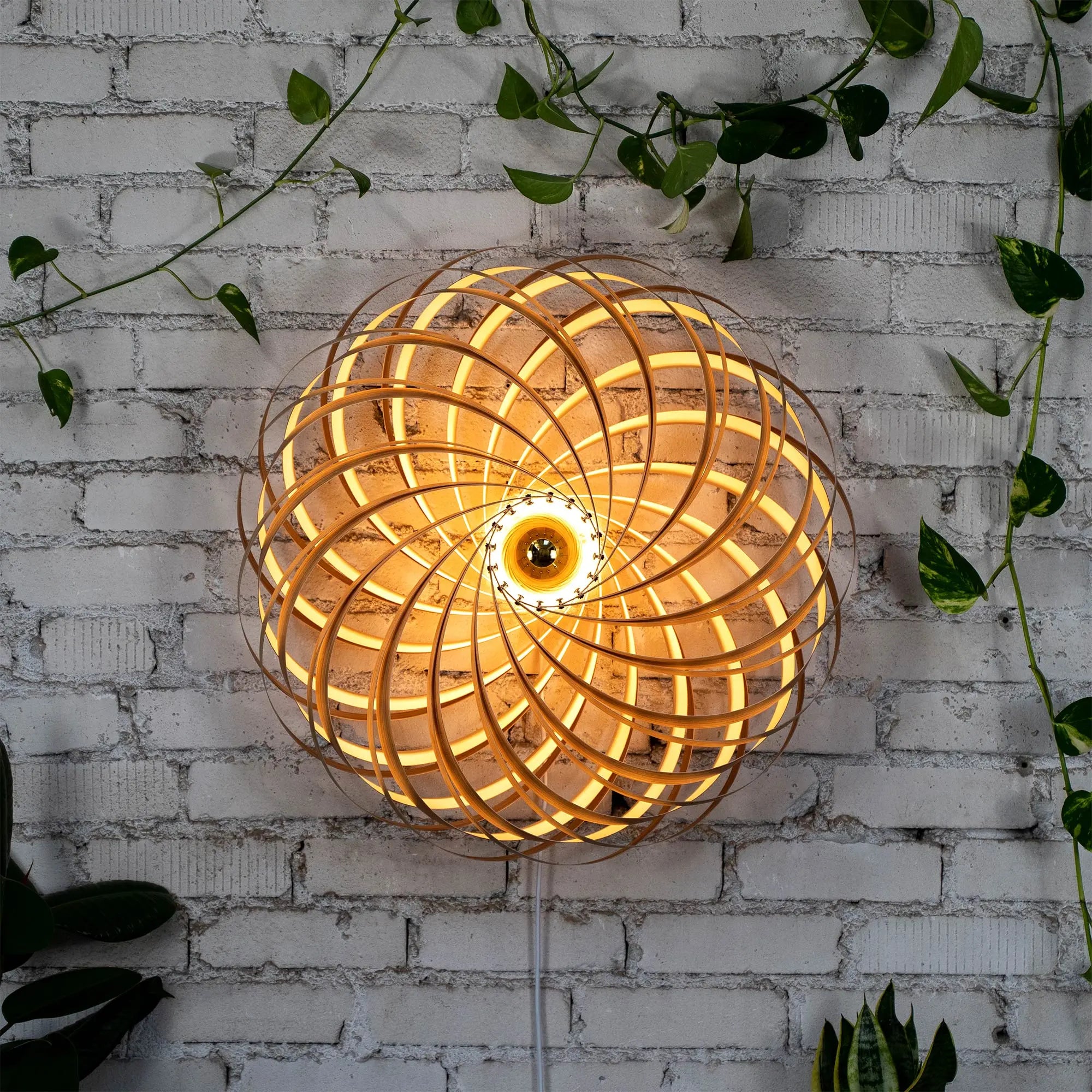 Wandleuchte 'Veneria' aus Olivesche 70 cm Gofurnit