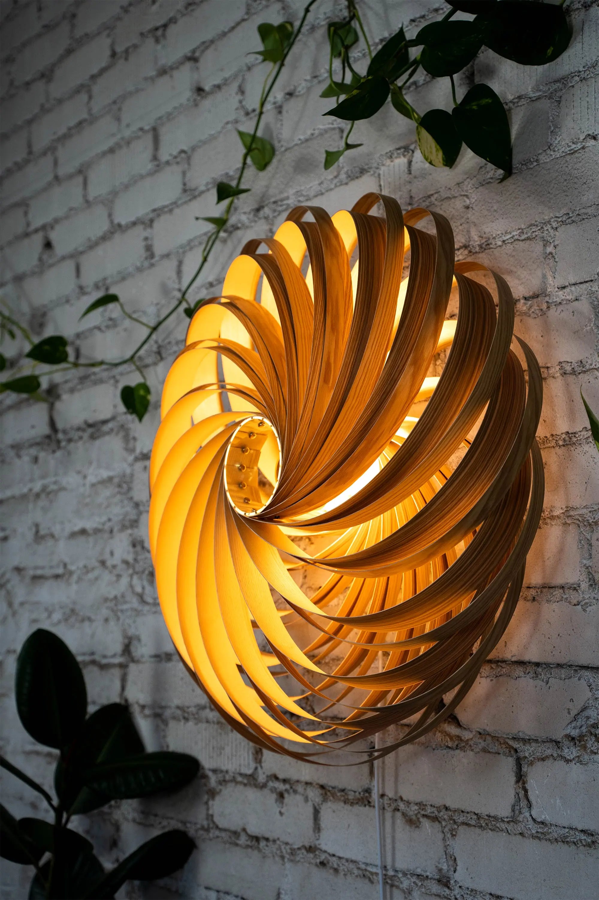 Wandleuchte 'Veneria' aus Olivesche 70 cm Gofurnit