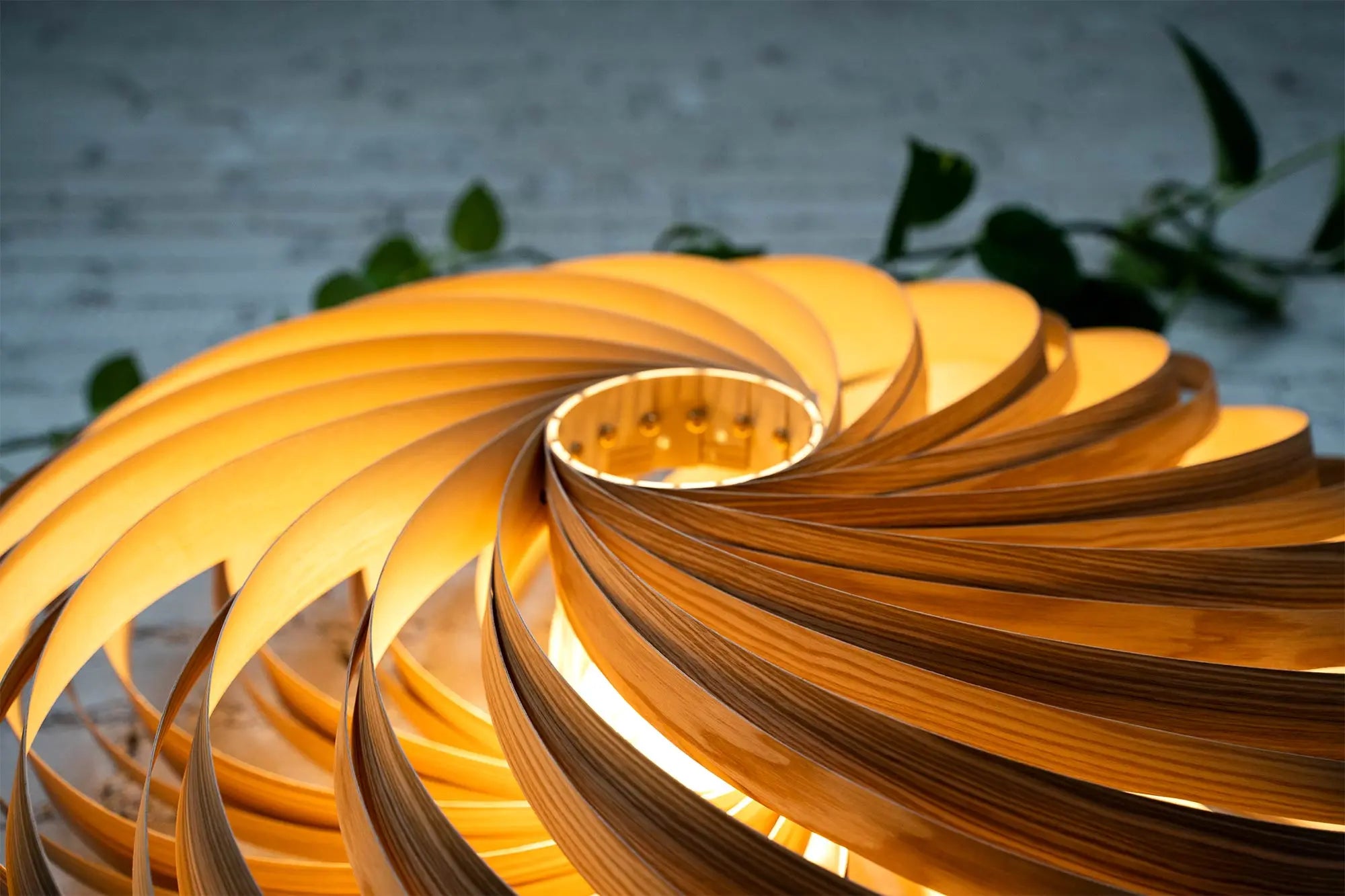 Wandleuchte 'Veneria' aus Olivesche 70 cm Gofurnit