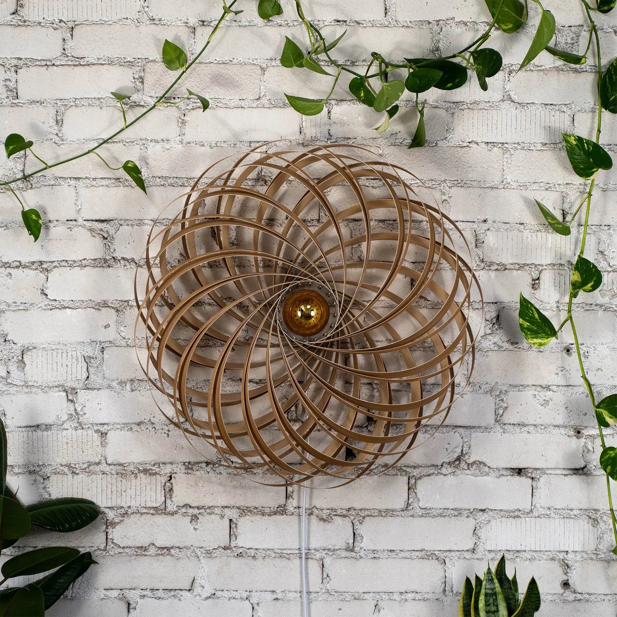 Wandleuchte 'Veneria' aus Olivesche 70 cm Gofurnit